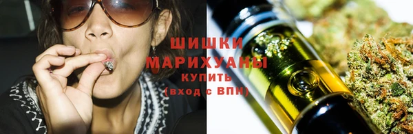 ПСИЛОЦИБИНОВЫЕ ГРИБЫ Каменка