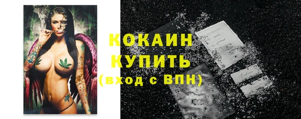 ПСИЛОЦИБИНОВЫЕ ГРИБЫ Каменка