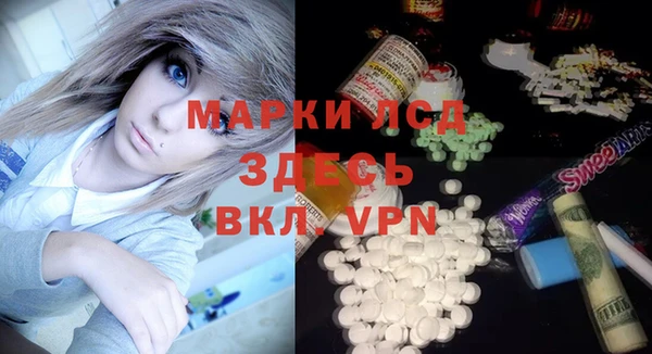 ПСИЛОЦИБИНОВЫЕ ГРИБЫ Каменка