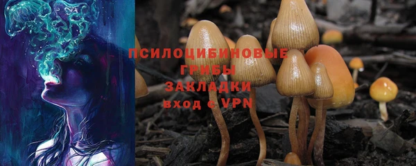 ПСИЛОЦИБИНОВЫЕ ГРИБЫ Каменка