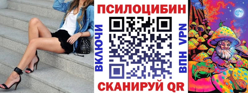 Галлюциногенные грибы Psilocybe  Купить где  Симферополь 